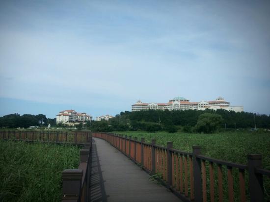 Osan-ri Prehistory Museum